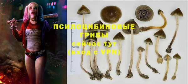а пвп мука Горно-Алтайск