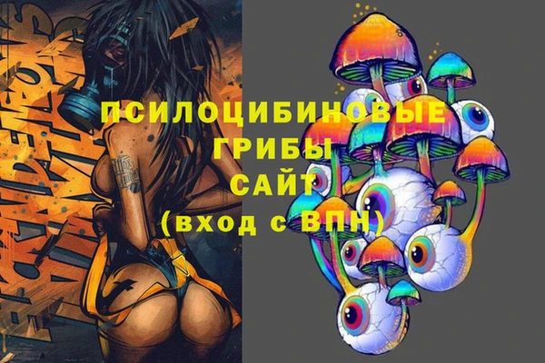 mix Вяземский