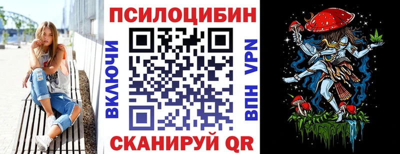 Купить где  Красный Кут  Псилоцибиновые грибы Cubensis 